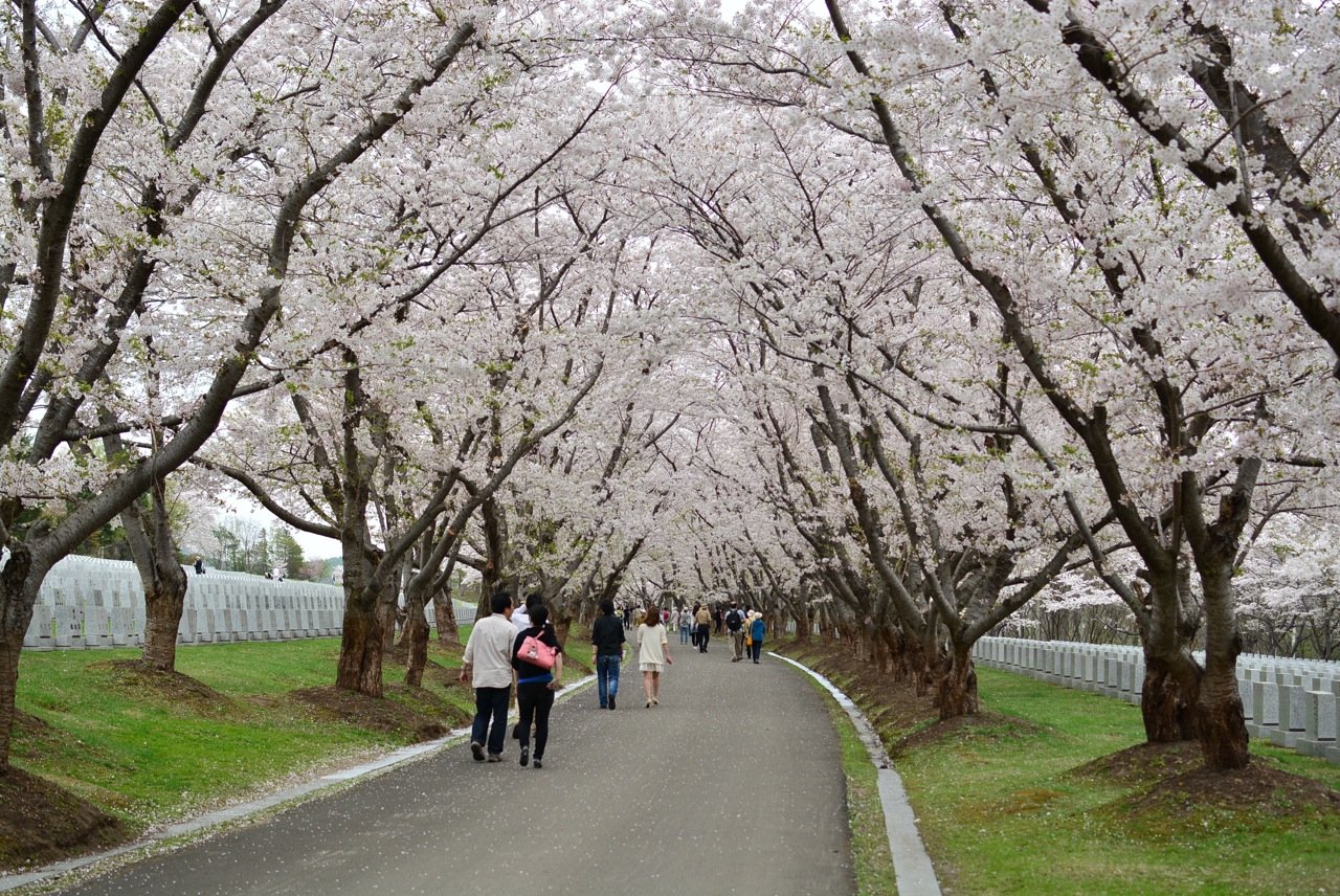🌳 베쓰포 기념공원(메모리아루파쿠벳푸코엔) 이미지 6